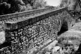 L1000587.jpg