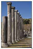 07-GR-T.jpg