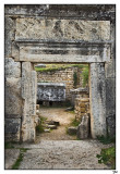 19-GR-T.jpg