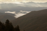 Warm Light- Newfound Gap Overlook