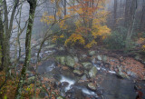 West Prong Little Pigeon River