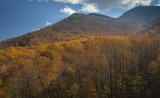 Fall Colors-Gatlinburg By Pass