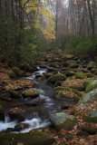 Mountain Stream-Roaring Fork