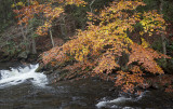 Stream View From Little River Road