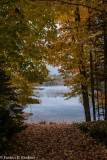 _DSC4653.jpg