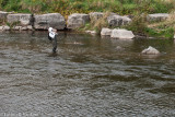 Fish on!