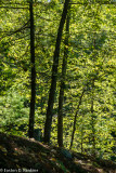 _DSC3367.jpg