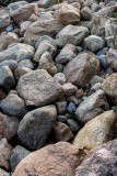 _DSC3804.jpg