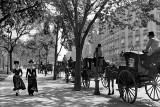 1900 - Carriages waiting at Madison Square