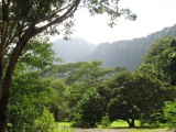 Gardens and pali views, Hoomaluhia Botanical Garden, Kaneohe, Oahu, Hawaii