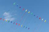 209 - Rencontres Internationales de cerfs-volants de Berck 2013 - MK3_1092 DxO Pbase.jpg