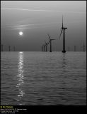 Nysted Offshore Wind Farm