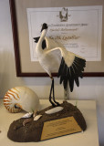 Whooping Crane award