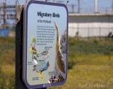 Migratory Birds Sign