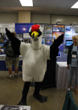 Whooping Crane in the main center