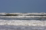 Waves