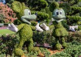Topiaries of Minnie and Mickey