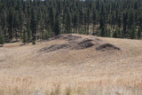 outcrop on Wild Horse Island State Park