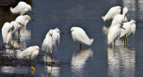 silver springs nature preserve, moro bay, california