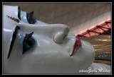 birmanie-yangoon0134.jpg