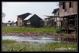 birmanie-inle0594.jpg
