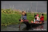 birmanie-inle0833.jpg