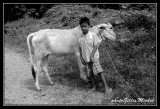 birmanie-moniya0288.jpg