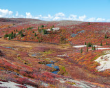 Arctic Barrens,Point Lake 4