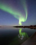 Northern Lights at Point Lake