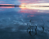 Sunrise at Point Lake Lodge