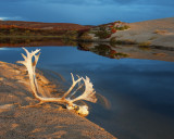 Sunrise at Point Lake Lodge Pond