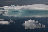 In the Pack Ice near Ellesmere Island