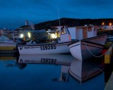 Twillingate Harbour Boats