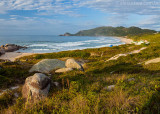 Praia-Mole-Florianopolis-120423-0388.jpg