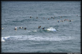 Surfing in the Mediterranean near Tel Aviv