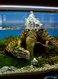 The Art of the Planted Aquarium 2013 / 25.-27.01.2013