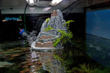 The Art of the Planted Aquarium 2013 / 25.-27.01.2013