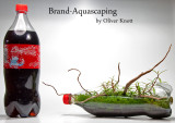 Brand Aquascaping by Oliver Knott