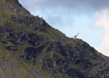 Mach Loop 2012