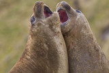 OGP_20121201_0745.jpg