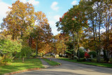 hiddenOakOct12.jpg