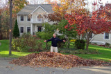 leafPile.jpg