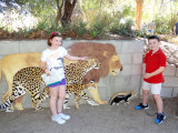 kidsCatsZooPD.jpg