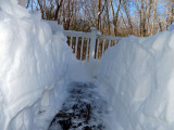 backporch.jpg