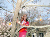 lillyTree.jpg