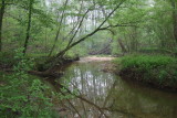 DSCF2868.JPG