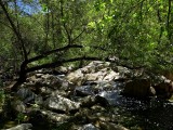 Creek - 7.jpg