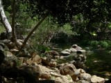 Creek - 13.jpg