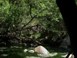 Creek - 19.jpg