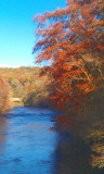 River Avon at Chatelherault CP, Hamilton